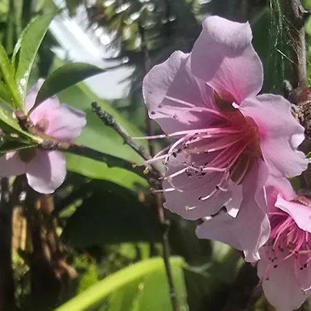 Romantic Glamping Bell Tent With Private Unique Bathroom