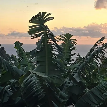 Romantic Glamping Bell Tent With Private Unique Bathroom *