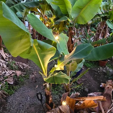 Romantic Glamping Bell Tent With Private Unique Bathroom *