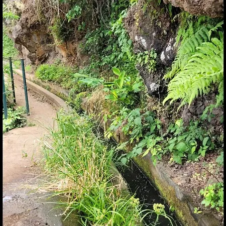 Romantic Glamping Bell Tent With Private Unique Bathroom Luxury tent Ponta do Sol (Madeira)